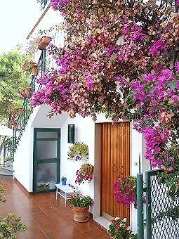 Lejlighed - La Rosa Dei Venti