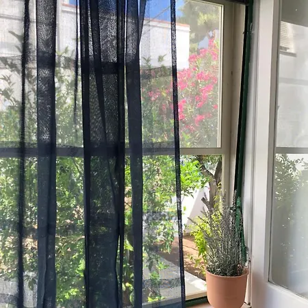 - La Rosa Dei Venti Peschici