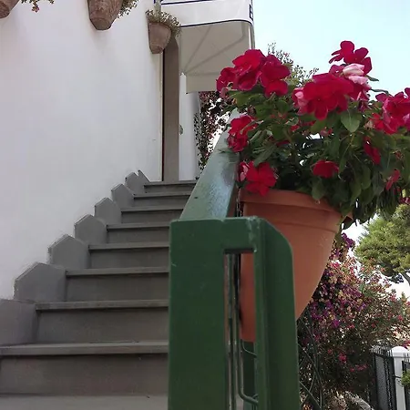 - La Rosa Dei Venti Peschici