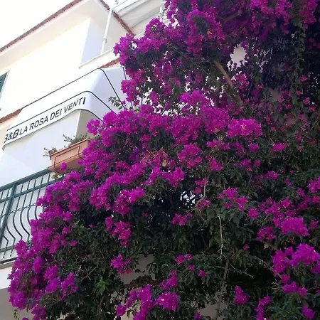 - La Rosa Dei Venti Lägenhet *