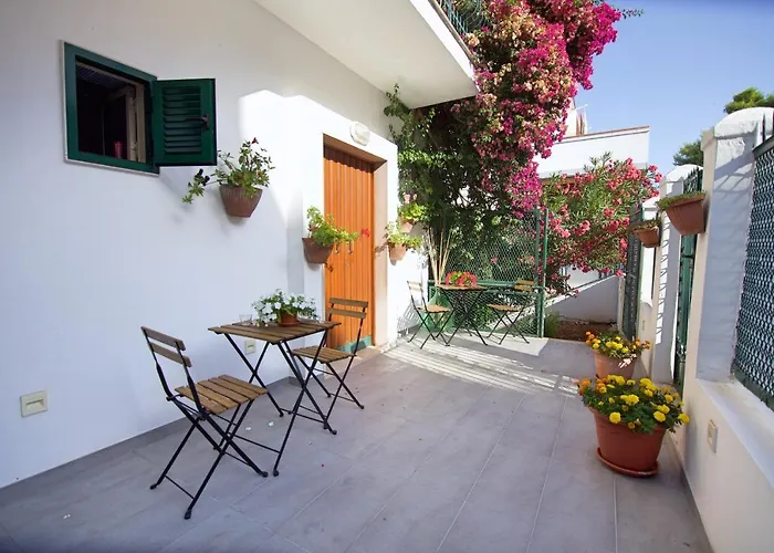 Apartment - La Rosa Dei Venti Peschici