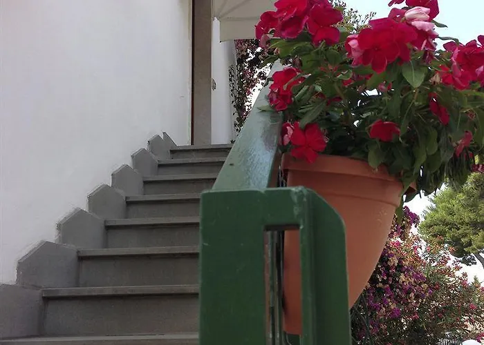 - La Rosa Dei Venti Peschici