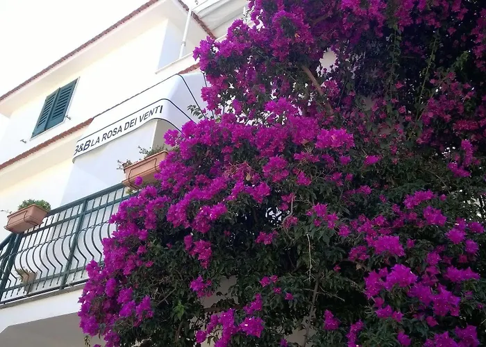 - La Rosa Dei Venti Apartment *